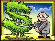 money tree (1).jpg